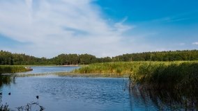 jezioro Gołdopiwo - zdjęcie 71