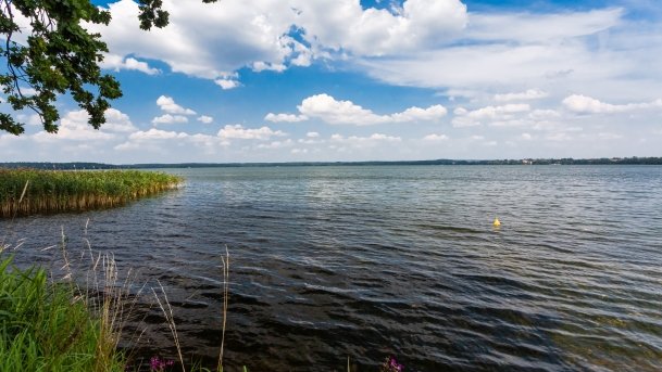 Gołdopiwo - zdjęcie 47