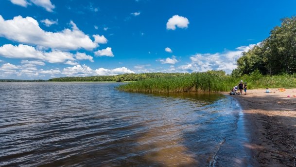 Kruklin - zdjęcie 25