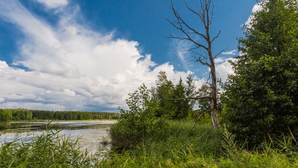 Kruklin - zdjęcie 24