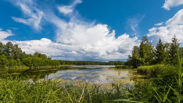 Kruklin - zdjęcie 23