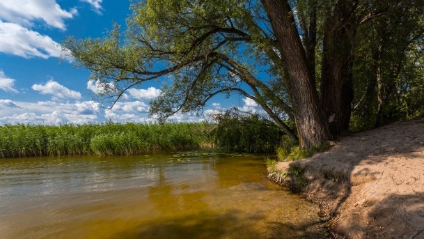 Kruklin - zdjęcie 22