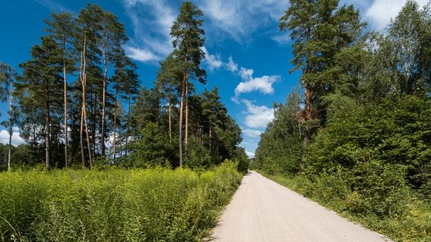 Kruklin - zdjęcie 20