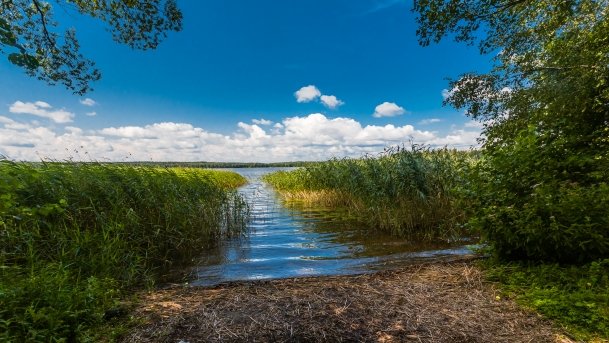 Kruklin - zdjęcie 16