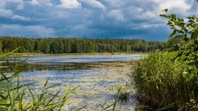 jezioro Kruklin - zdjęcie 15