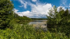 jezioro Kruklin - zdjęcie 14