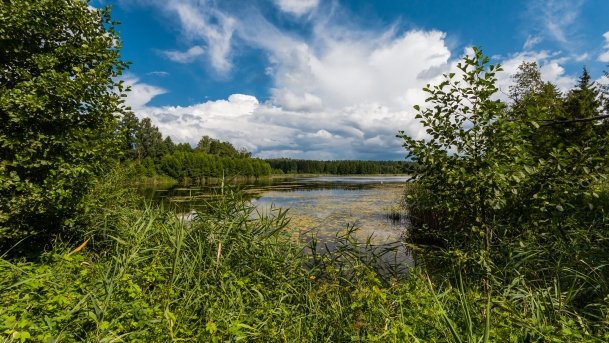 Kruklin - zdjęcie 14