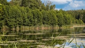 jezioro Kruklin - zdjęcie 13