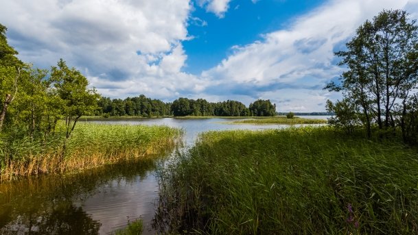 Kruklin - zdjęcie 9