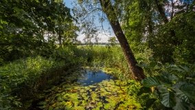 jezioro Kruklin - zdjęcie 8