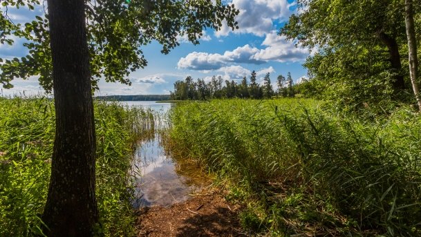 Kruklin - zdjęcie 5