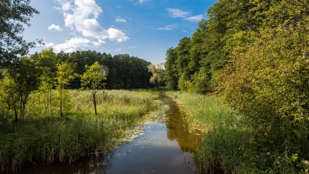 Kruklin - zdjęcie 4