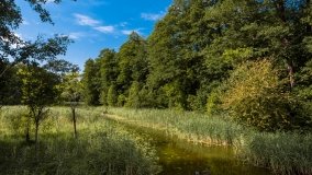 jezioro Kruklin - zdjęcie 3