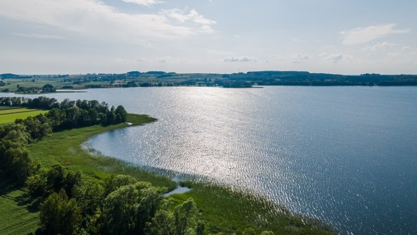 Rydzówka - zdjęcie 15