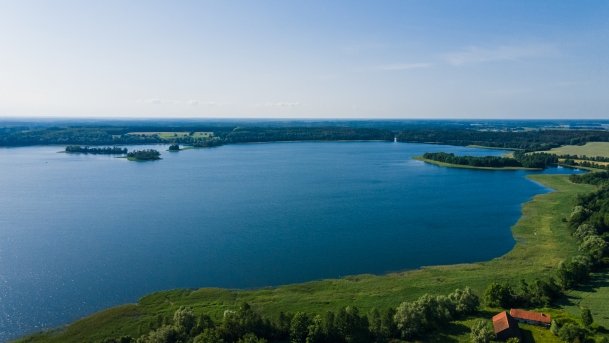 Rydzówka - zdjęcie 14