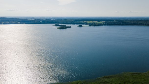 Rydzówka - zdjęcie 13