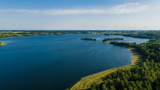 Rydzówka - zdjęcie 9