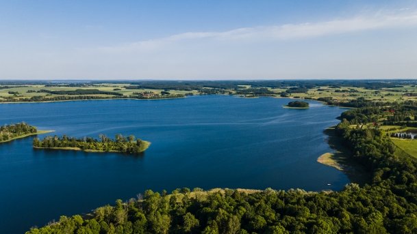 Rydzówka - zdjęcie 8