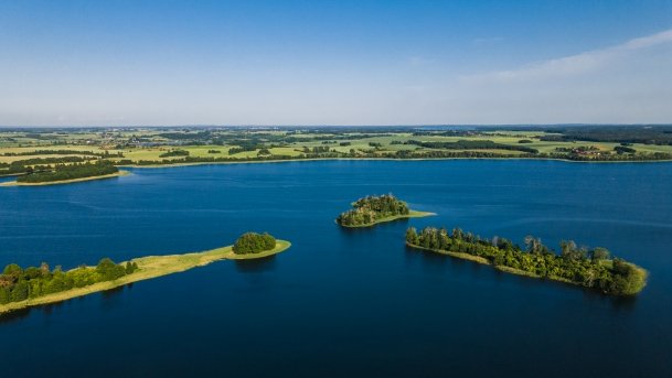 Rydzówka - zdjęcie 5