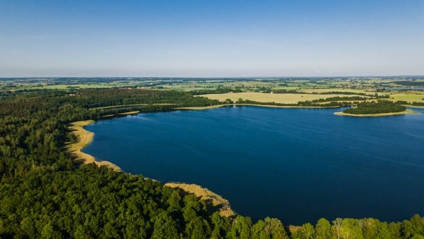 Rydzówka - zdjęcie 2