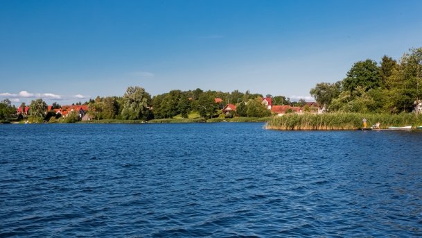 Jorzec - zdjęcie 16