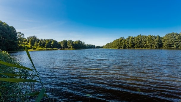 Jorzec - zdjęcie 15