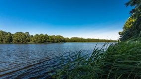 jezioro Jorzec - zdjęcie 14