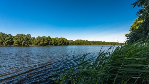 Jorzec - zdjęcie 14