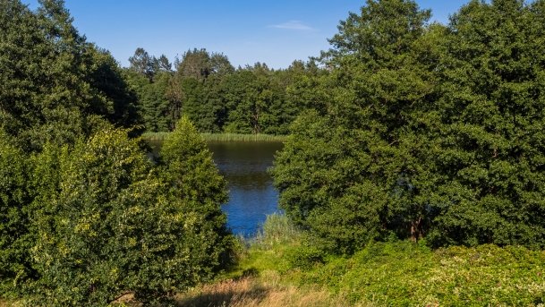 Jorzec - zdjęcie 13