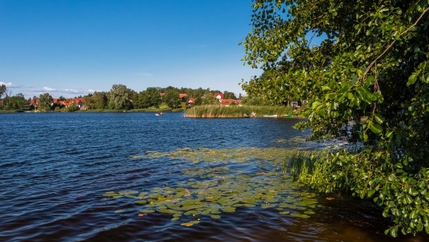 Jorzec - zdjęcie 12