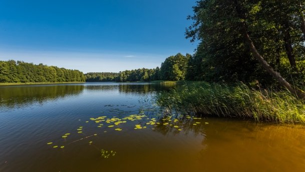 Jorzec - zdjęcie 10