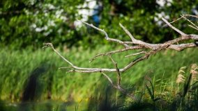 jezioro Głębokie - zdjęcie 19