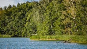 jezioro Głębokie - zdjęcie 13