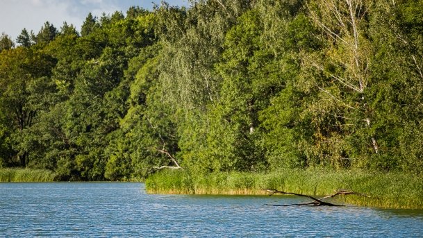 Głębokie - zdjęcie 13