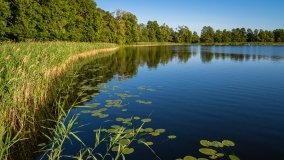 jezioro Inulec - zdjęcie 45