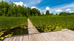 jezioro Majcz Wielki - zdjęcie 19