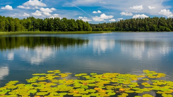 Majcz Wielki - zdjęcie 18
