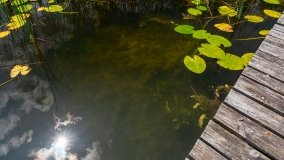 jezioro Majcz Wielki - zdjęcie 17