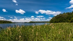 jezioro Majcz Wielki - zdjęcie 16