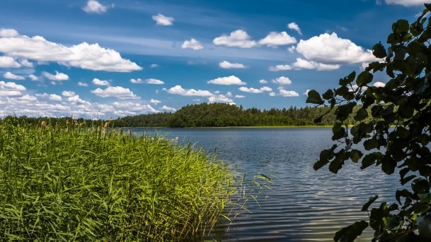 Majcz Wielki - zdjęcie 14