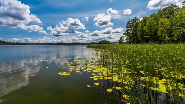 Majcz Wielki - zdjęcie 12