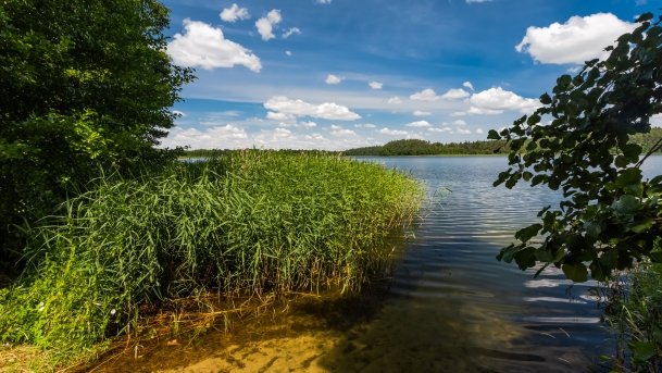 Majcz Wielki - zdjęcie 4