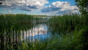 Jezioro Warnołty - zdjęcie 16