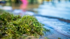 jezioro Wiartel - zdjęcie 14