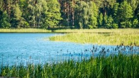 jezioro Wiartel - zdjęcie 10