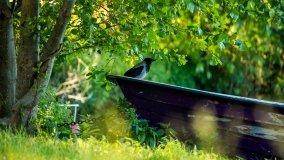 jezioro Wiartel - zdjęcie 7