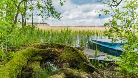 jezioro Brzozolasek - zdjęcie 10