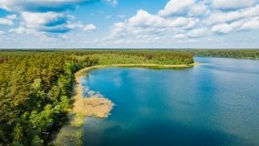 jezioro Brzozolasek - zdjęcie 9