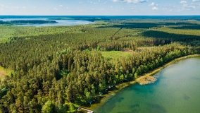 jezioro Brzozolasek - zdjęcie 6