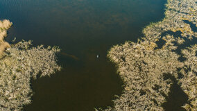 jezioro Guber - zdjęcie 36